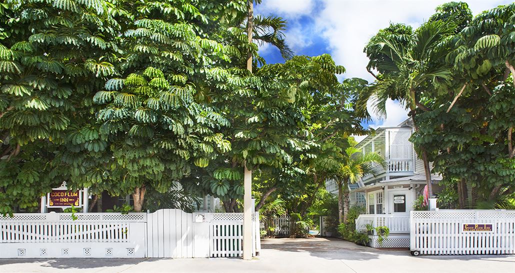 Coco Plum Inn Bed & Breakfast